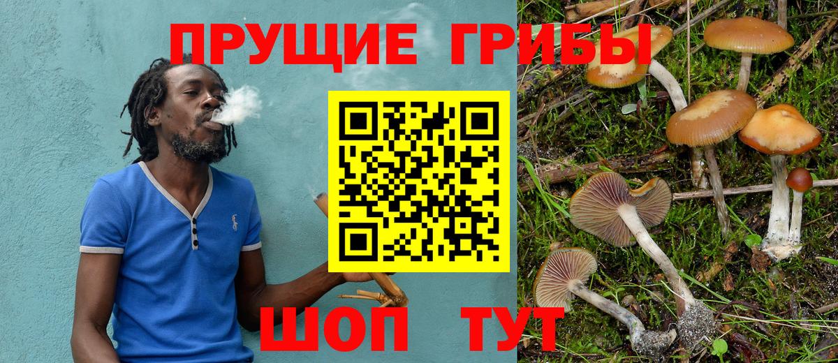 Галлюциногенные грибы мухоморы  Вход с VPN  Карталы  Галлюциногенные грибы мицелий 