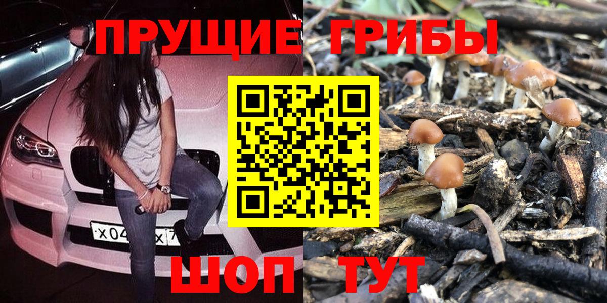 Псилоцибиновые грибы мухоморы Карталы